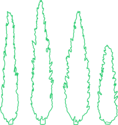 Plants Cypress Tree Line Art Svg Vector, Free Vectors File